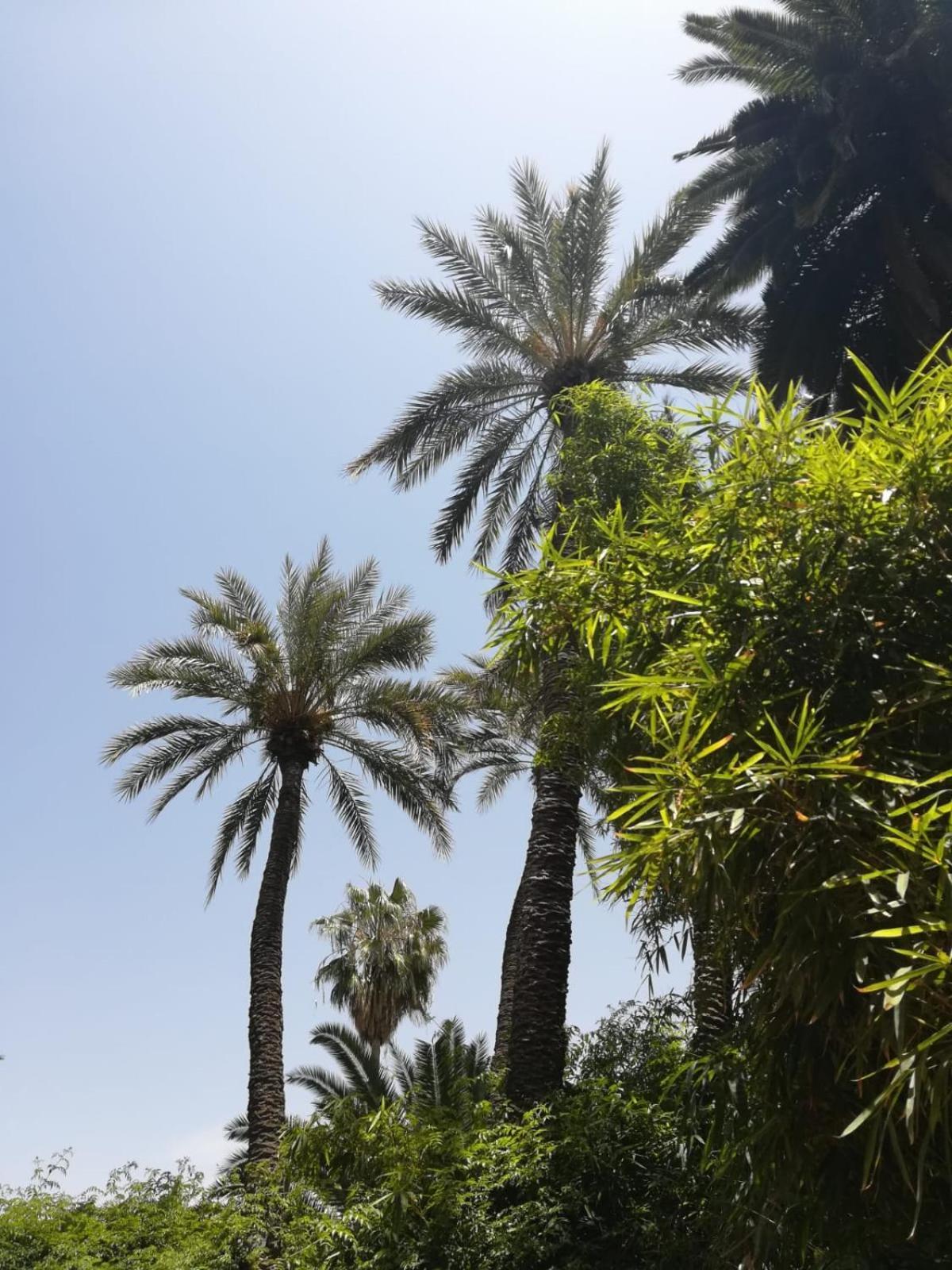 Riad Lalla Aicha-Qariya Siyahia Marrakech Marrakesh Bagian luar foto